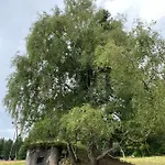 Appartement Slunny V Jizerskych Horach 5 Posteli *