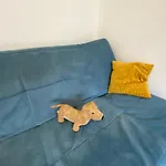 Slunny V Jizerskych Horach 5 Posteli Appartement Tanvald