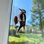 Appartement Slunny V Jizerskych Horach 5 Posteli Tanvald