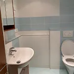 Slunny V Jizerskych Horach 5 Posteli Appartement *