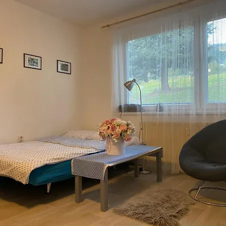 Slunny V Jizerskych Horach 5 Posteli Tanvald