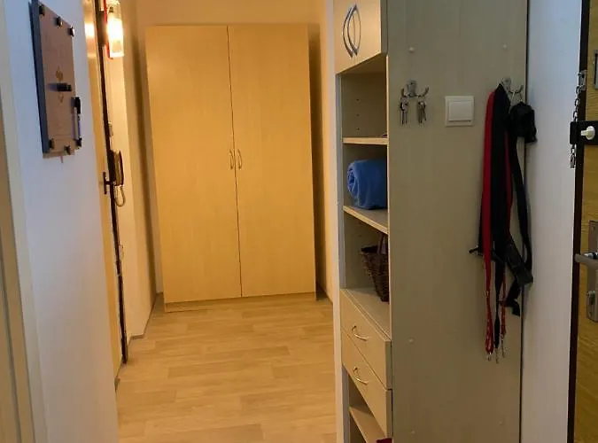 Slunny V Jizerskych Horach 5 Posteli Lejlighed